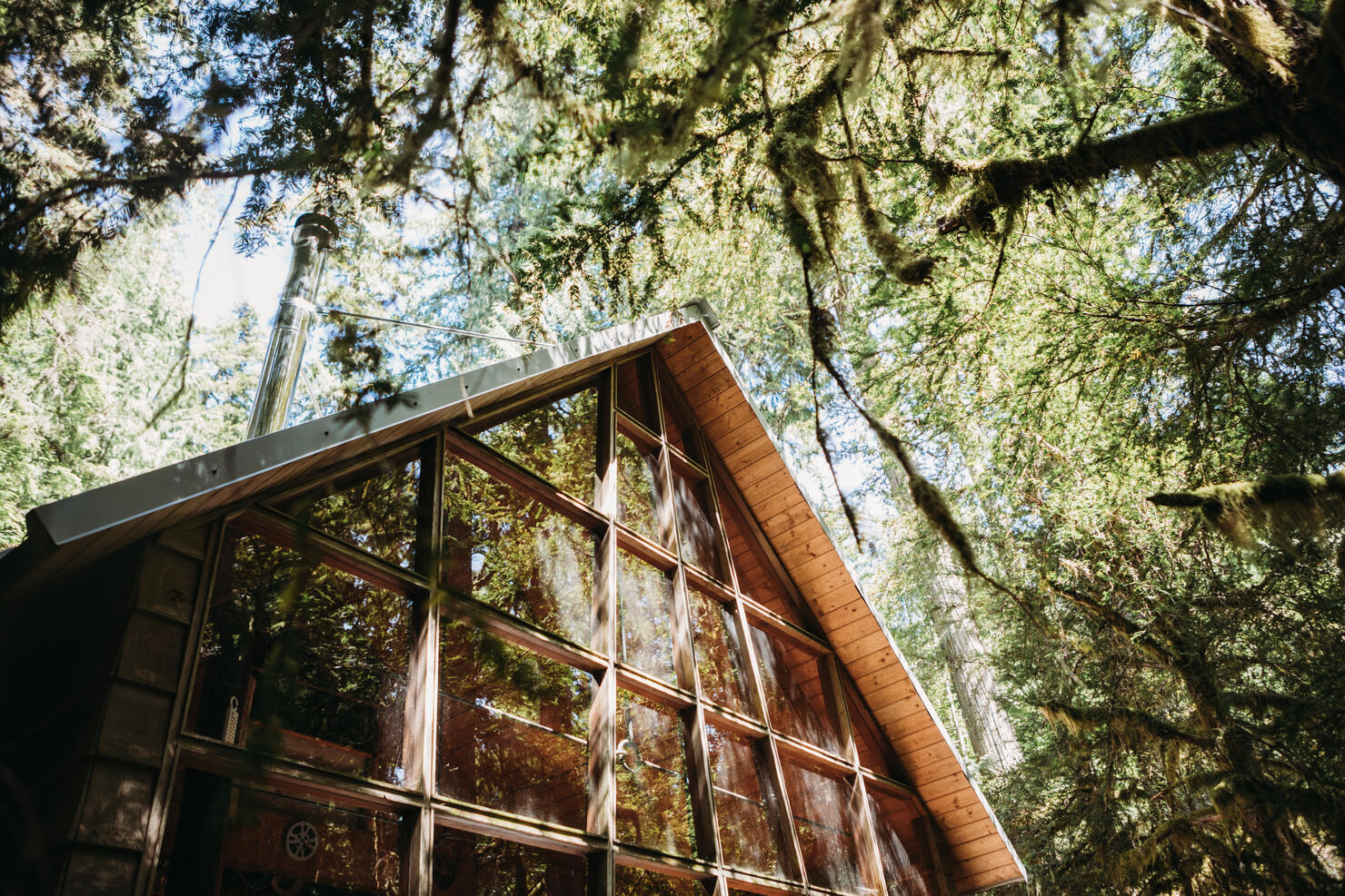 Rustic Cabin Retreat In The Forest With Large Bay Windows