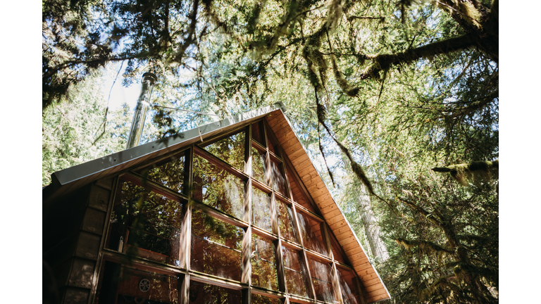 Rustic Cabin Retreat In The Forest With Large Bay Windows