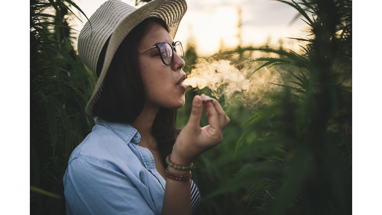 Beautiful Woman Smoking Marijuana In Plantation.