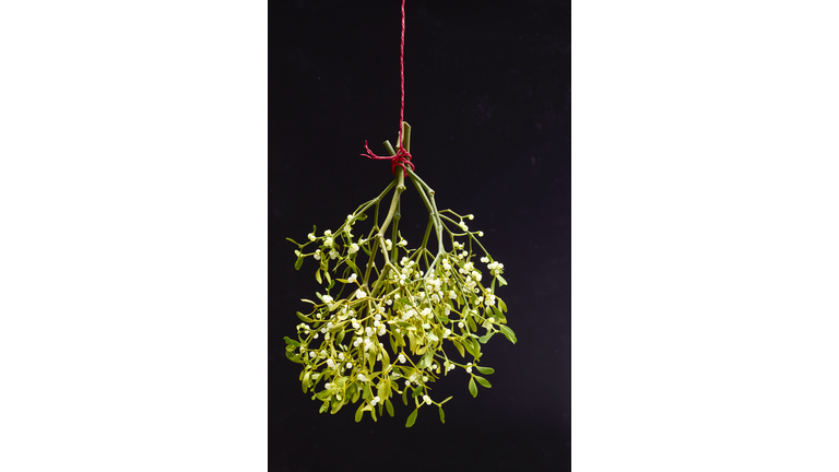 Christmas Mistletoe on red string.