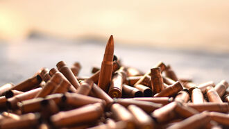 Terrorism & Expeditions / New World Order