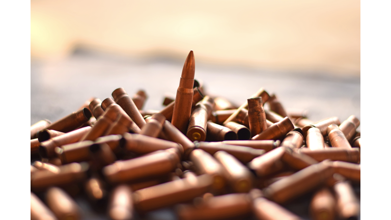 Terrorism & Expeditions / New World Order