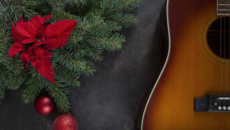 Shock Collar Question (12/19/25)