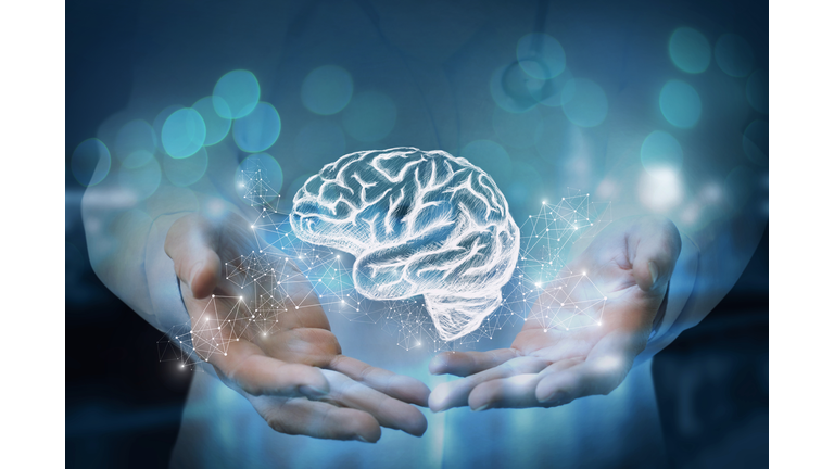 Medic shows in the hands of the brain.