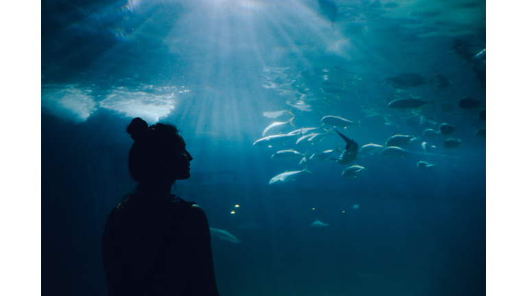 Young woman looking at fish in the aquarium