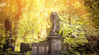 Vintage Paranormal / Open Lines