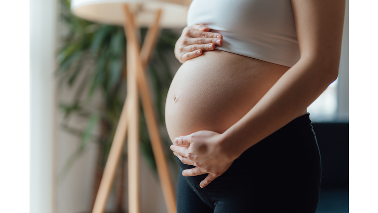 Midsection of Pregnant Woman Holding Her Belly