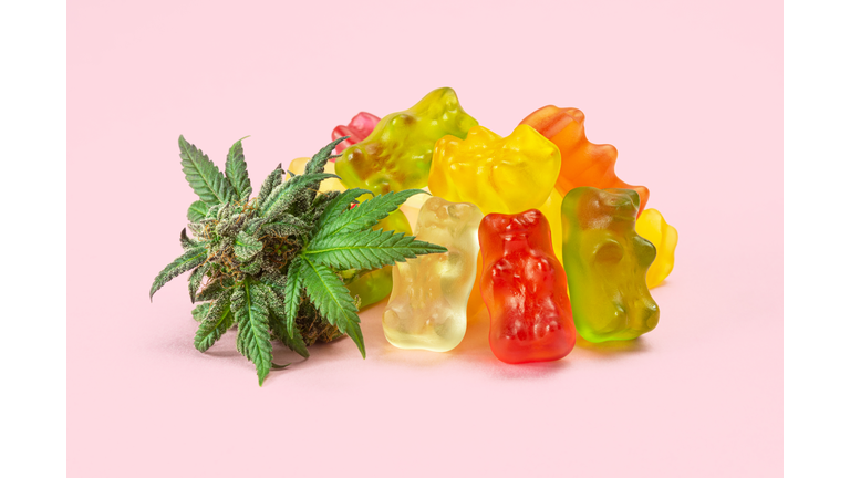Gummy Bear Medical Marijuana Edibles (CBD or THC Candies) with Cannabis Bud Isolated on Pink Background