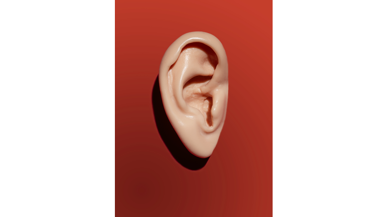 Human ear