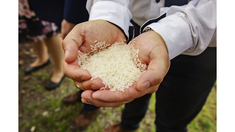 Male wedding guest hands holding traditional rice