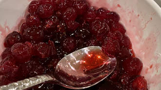 Cranberry Chaos! 🤪 Canned vs. Homemade?