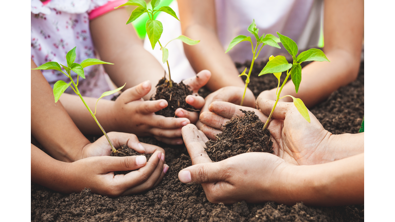 Children and parent holding young tree in hands for planting in black soil together