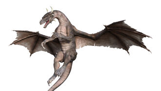 Open Lines / Curses & Dragons