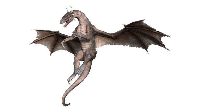 Open Lines / Curses & Dragons