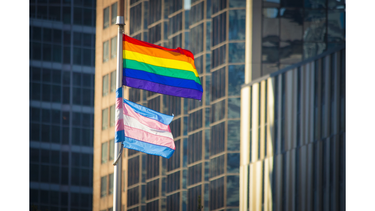 Pride Flag and Trans Flag