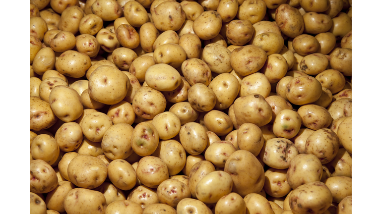 Potatoes, Iceland