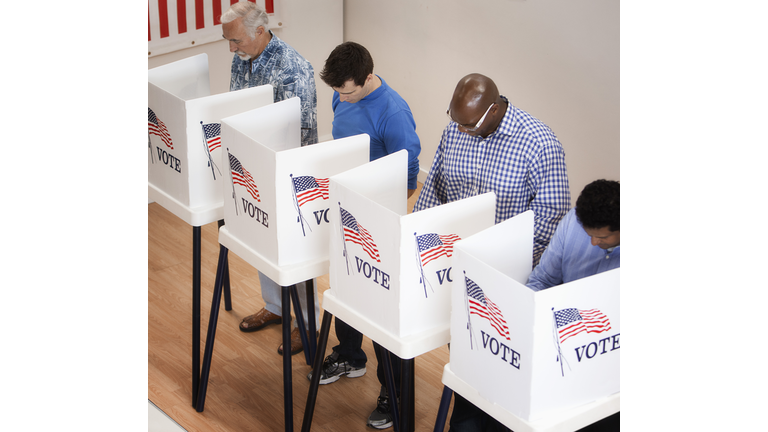 Voters voting in polling place