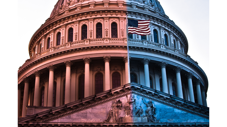American Politics - Congress Political Divide - Partisan Politicians