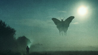 Mothman & Thunderbirds