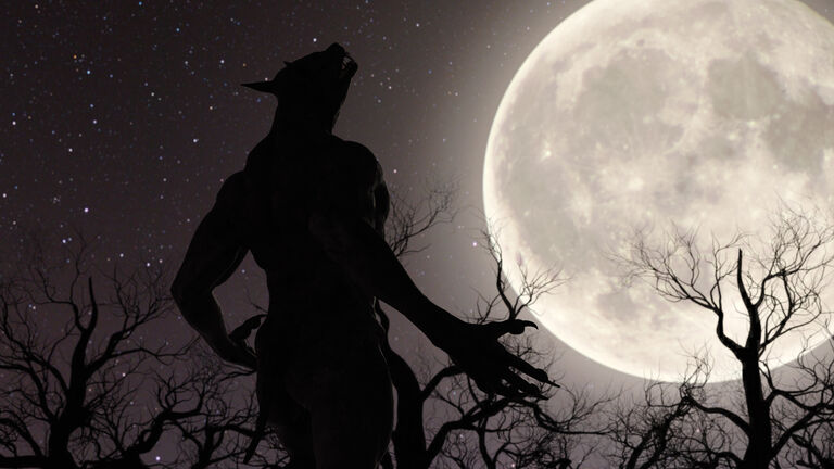 Illustration of a werewolf during the full moon in the creepy forest