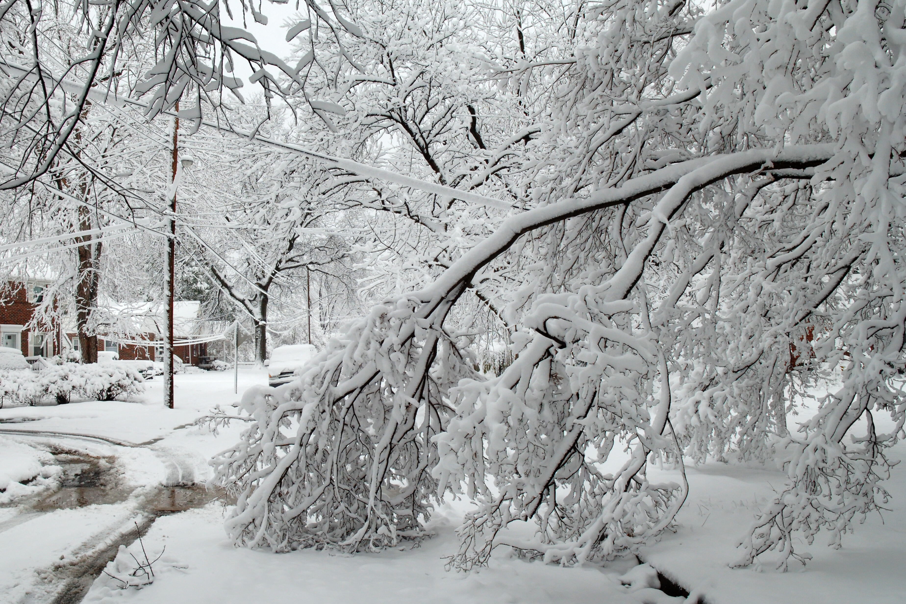 Here's What Winter In Ohio Is Predicted To Look Like This Year iHeart