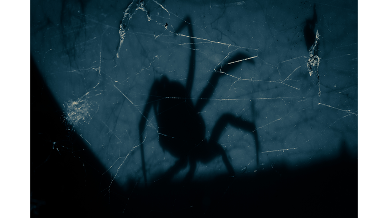 Paranormal Documentaries / Space News