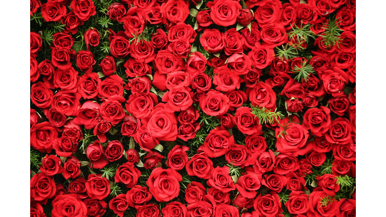 A bunch of Roses as a bed