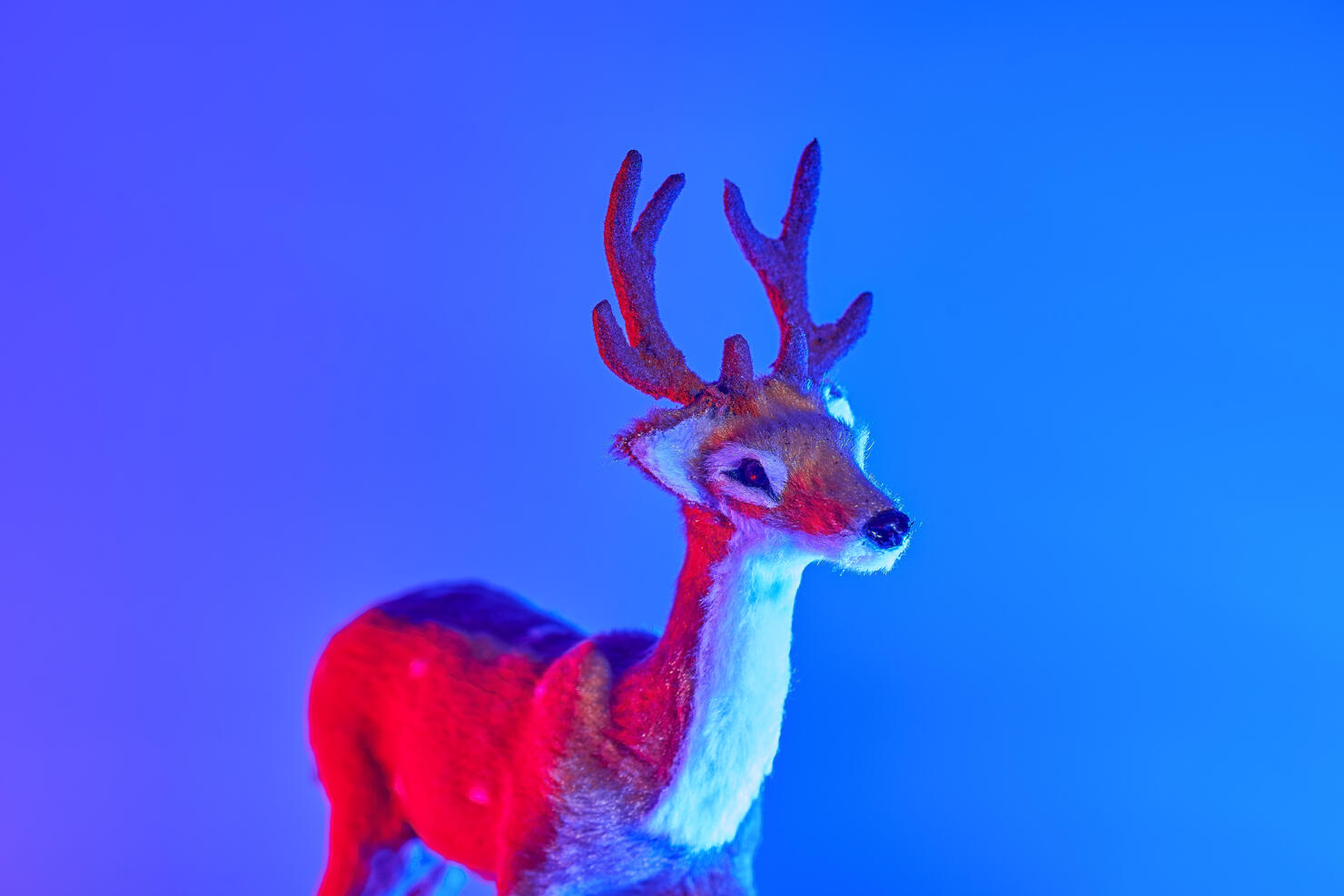 Modern conceptual art deer with shadow in duotone red and blue lights