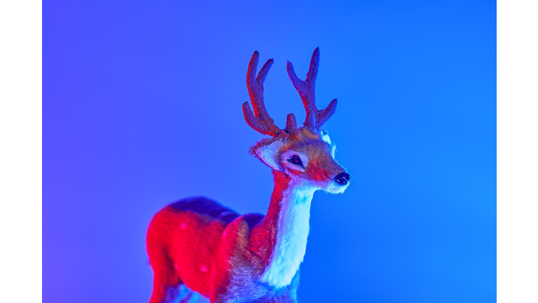 Modern conceptual art deer with shadow in duotone red and blue lights