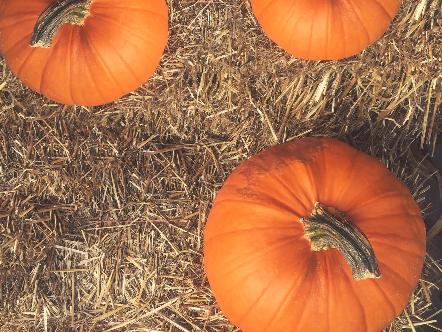 Fall Pumpkins and Hay Background, Directly Above