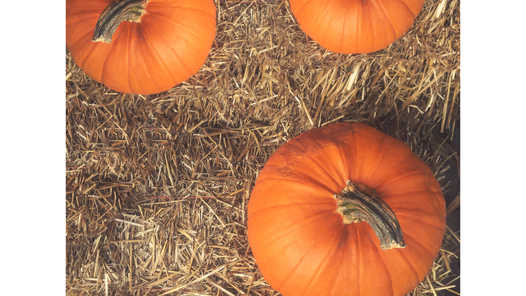 Fall Pumpkins and Hay Background, Directly Above