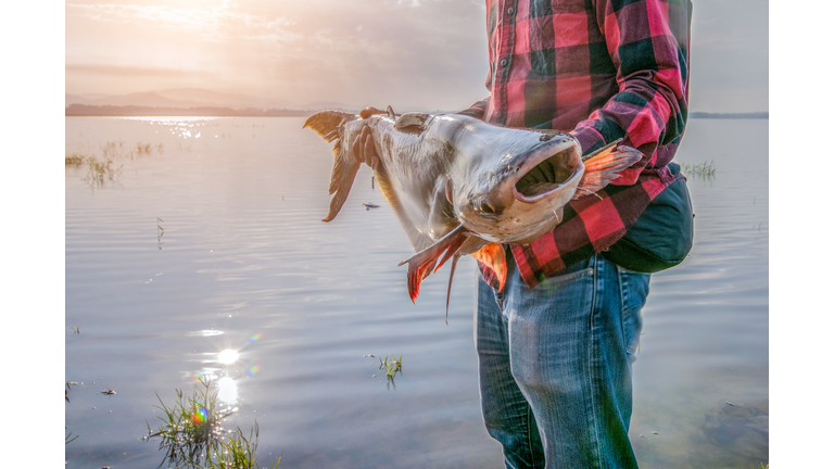 Fishing. Fisherman and trophy Pike