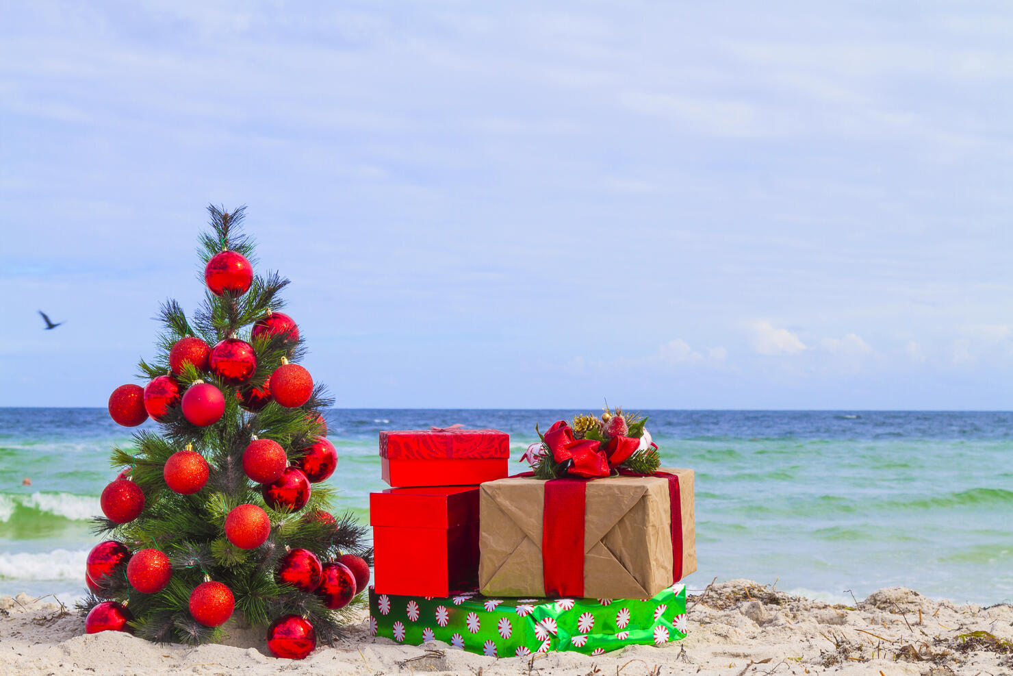 Popular South Florida Spot One Of The Best Places To Spend Christmas