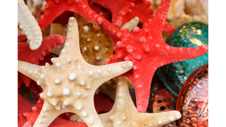 Starfish