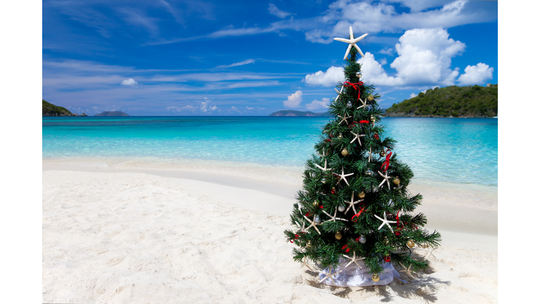 Christmas tree at a tropical beach in the Caribbean