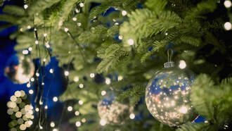 Best Bets for the Weekend, Dec 12- Dec 14