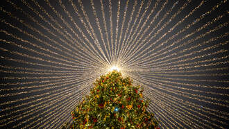 JROD - Top 5 Holiday Decoration Trends You Need In Your Life