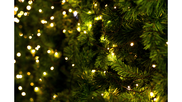 christmas tree
