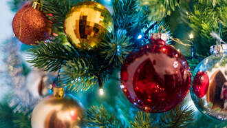 Local News - Syracuse Prepares for Annual Holiday Tree Lighting