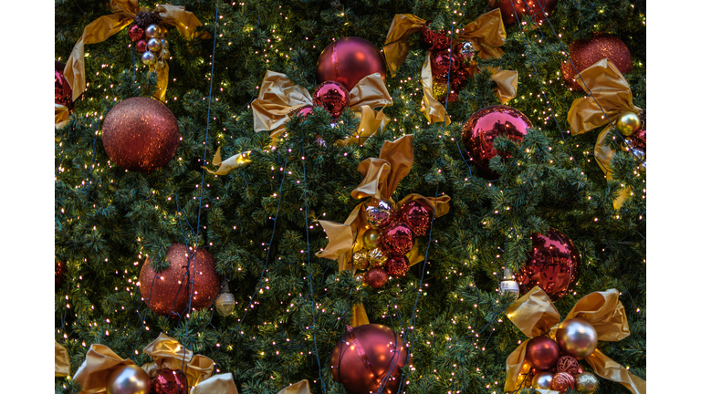 Full Frame of Shot of Illuminated Christmas Decoration on Christmas Tree