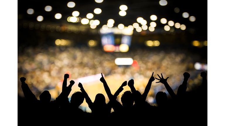 Basketball Excitement