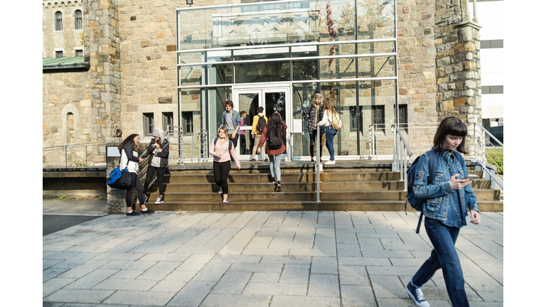 Multi-ethnic group of students in front of College University entrance.