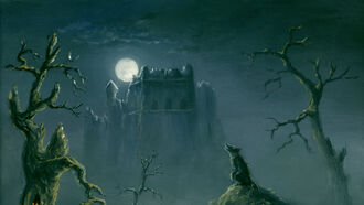 Dark Shadows / Open Lines