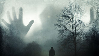 Demonic Possessions / Psychic Readings