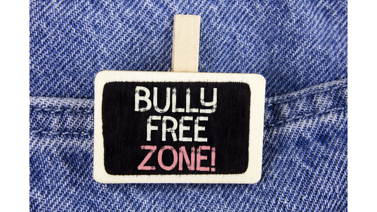 Conceptual hand writing showing Bully Free Zone Motivational Call. Business photo text creating abuse free school college life written on Wood Piece on the Jeans background.