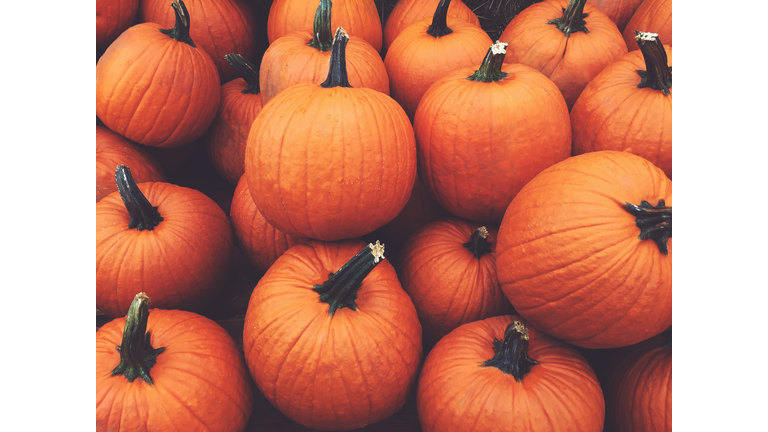 Fall Pumpkins Background