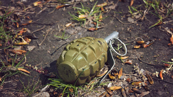 Norfolk Man Finds Grenade in Yard