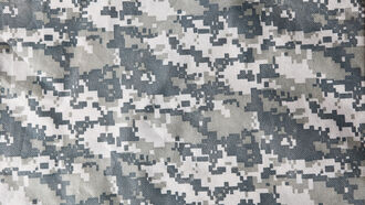 Military Remote Viewing