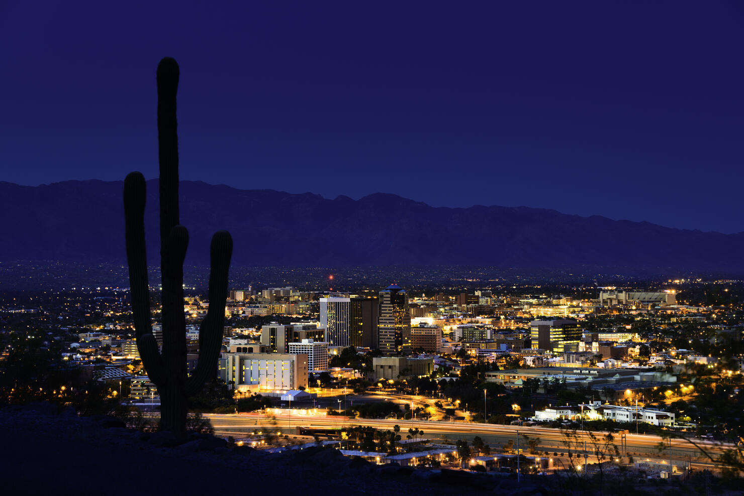 Tucson Arizona at night framed by saguaro cactus and mountains