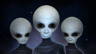 ET Contacts & Intervention